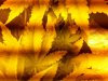20130314_221820.jpg
