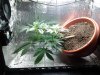 20130316_043414.jpg 20130316_043414.jpg