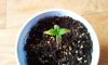 20130316173527.jpg