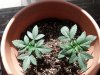 CYMERA_20130317_124432.jpg
