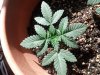 CYMERA_20130317_124440.jpg