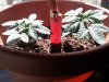 CYMERA_20130317_124506.jpg