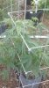 2013-03-16_18-18-26_28.jpg