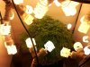 20130319_102734.jpg