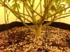 20130319_104008.jpg