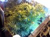 Img_130318214206.jpeg