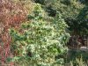 DSCF0597.jpg