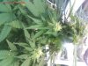 pic100608_16.jpg