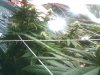 pic100608_18.jpg