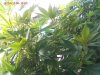 pic100608_19.jpg
