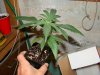 DSC07805.jpg