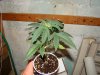 DSC07806.JPG