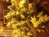 20130320_094848.jpg
