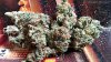 Blue Diesel.jpg Blue Diesel.jpg
