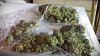 Reup.jpg Reup.jpg