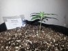 20130320_215658.jpg 20130320_215658.jpg