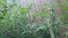 2013-03-21_18-23-32_456.jpg