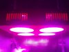 Photon Pro 4 BlackJack Auto Grow. Start (10).jpg