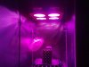 Photon Pro 4 BlackJack Auto Grow. Seed Popped Through 1 (5).jpg