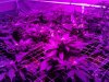 20130312_180452.jpg