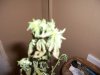 sick 008.jpg