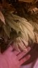 IMG_20130322_192806_884.jpg