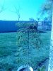 IMG_20130323_103029.jpg