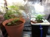 20130321_182623.jpg