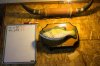 GrowRoomGDay-15.jpg
