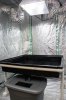 GrowRoomGDay-3.jpg
