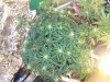 100_2754.jpg 100_2754.jpg