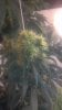 2013-03-24_21-21-06_324.jpg