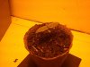 2013-03-15 19.06.18.jpg
