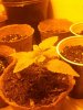 2013-03-19 20.45.31.jpg
