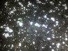 20130325_072924.jpg