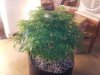 20130325_081250.jpg