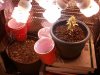 2013-03-24 11.57.16.jpg