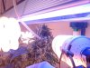IMG_20130325_150810.jpg