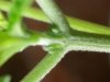 20130325_174330.jpg