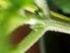 20130325_174412.jpg