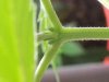20130325_203648.jpg