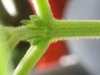 20130325_203725.jpg