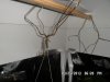 SAM_8876.jpg SAM_8876.jpg