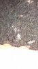 IMAG0027.jpg