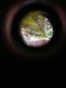 IMG_5702.jpg IMG_5702.jpg