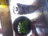 20130326_204038.jpg