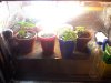 20130326_203839.jpg 20130326_203839.jpg