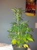 2013-03-26_22-32-50_243.jpg