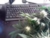 0327131028.jpg