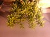 20130325_202407.jpg